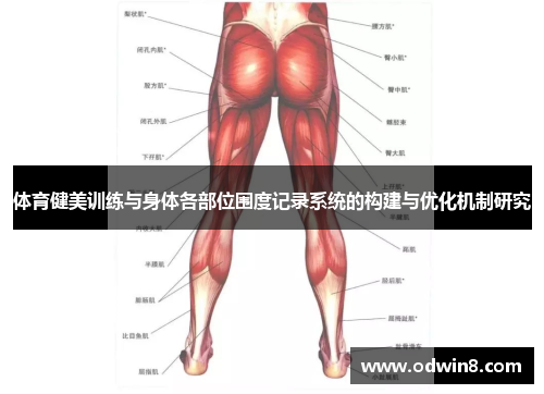 体育健美训练与身体各部位围度记录系统的构建与优化机制研究
