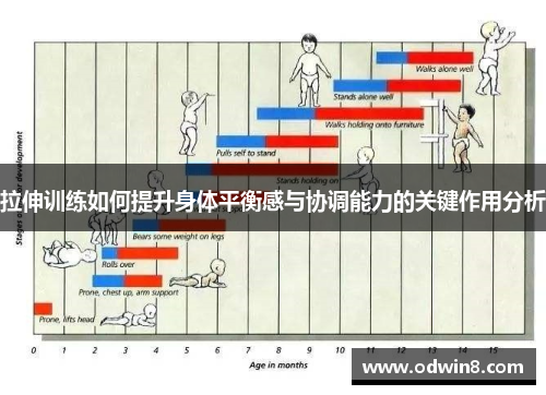拉伸训练如何提升身体平衡感与协调能力的关键作用分析